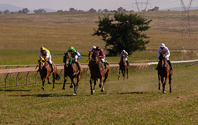 Racehorses on the Marchmont Racecourse in Yass