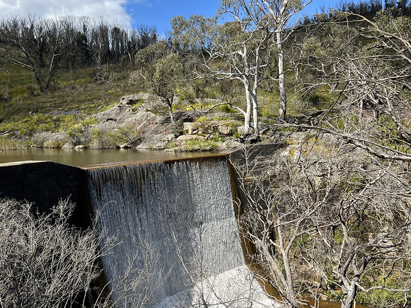 A dam overflowing into a creek in a bushy area. The dam is surrounded by trees, rocks and shrubs.