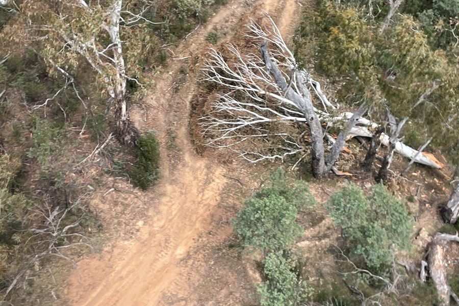 Aerial inspections allow identification of critical work on fire trails like fallen trees.